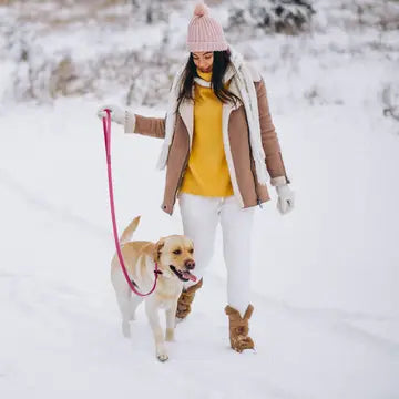 A woman walking a dog in the snow using a 15ft Biothane Leash from The Joy of Wagging.