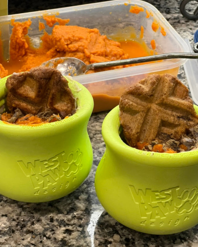 Two green WestPaw Toppls sit on a marble counter with mashed sweet potato in the background in a tupperware. They are full of food, sweet potato, and topped with a Joy of Wagging cookies.