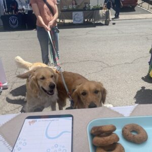 Fresh Donuts for Dogs