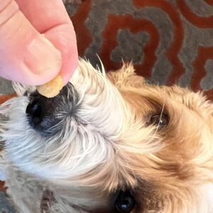 Gluten-Free Peanut Butter Dog Training Treats