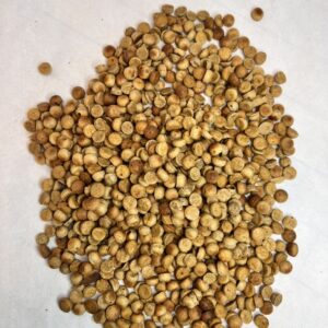 Gluten-Free Peanut Butter Dog Training Treats
