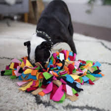 Snuffle Mat for Dogs