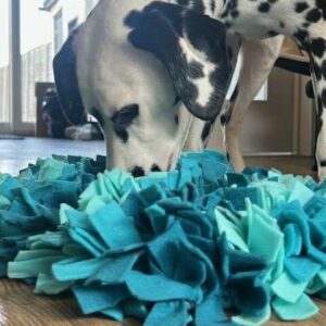 Snuffle Mat for Dogs