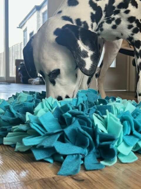 Snuffle Mat for Dogs