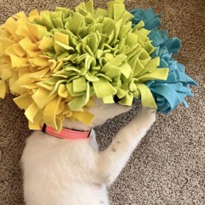 Snuffle Mat for Dogs