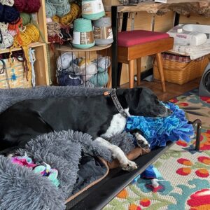 Snuffle Mat for Dogs