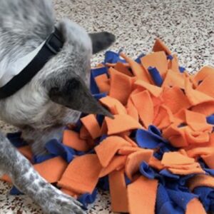 Snuffle Mat for Dogs