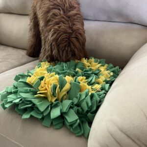 Snuffle Mat for Dogs