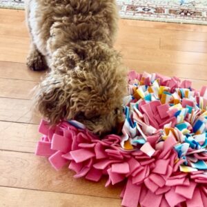 Snuffle Mat for Dogs