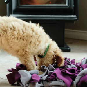 Snuffle Mat for Dogs