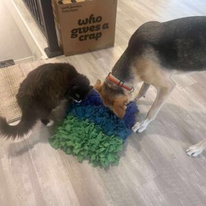 Snuffle Mat for Dogs