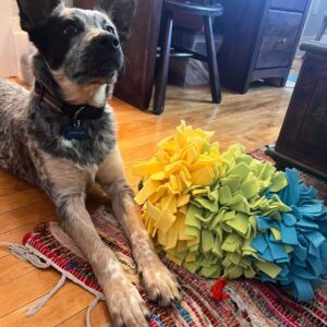 Snuffle Mat for Dogs