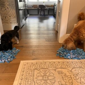 Snuffle Mat for Dogs