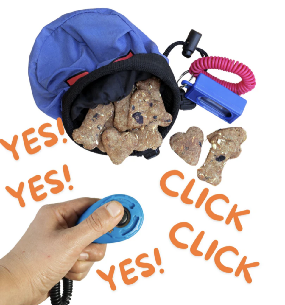Dog Training Clicker for marker training method