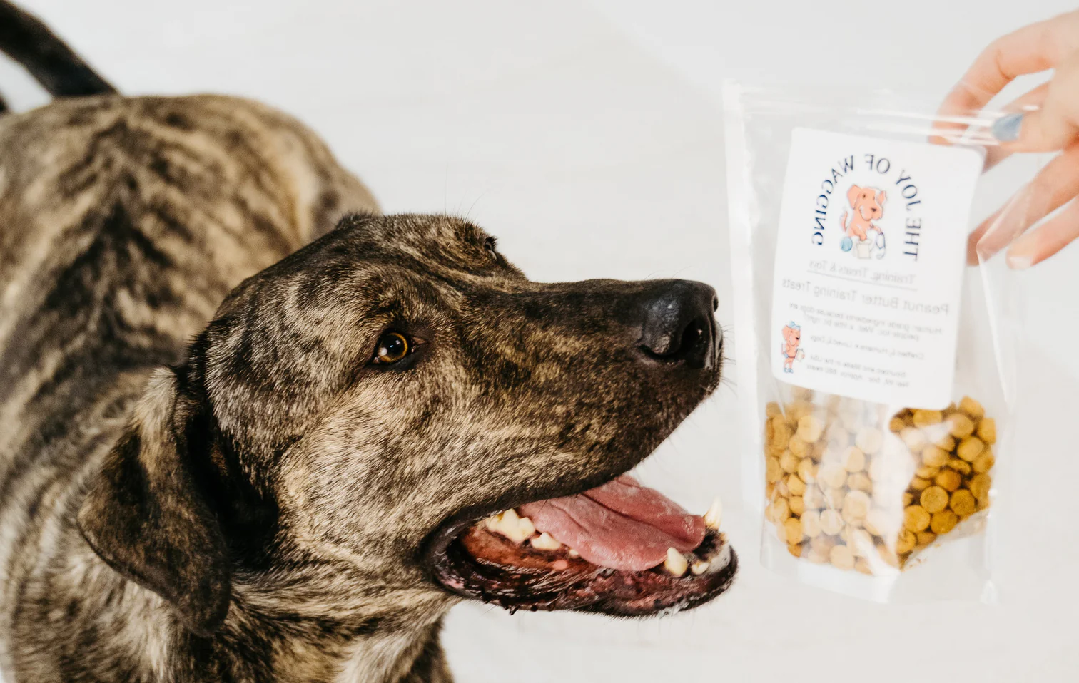 Tiny Treats, Big Wins